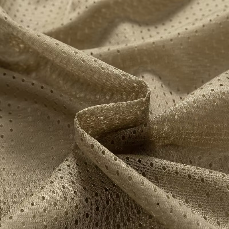 525CA72BDB469050B790DD3DE0D42E66.png